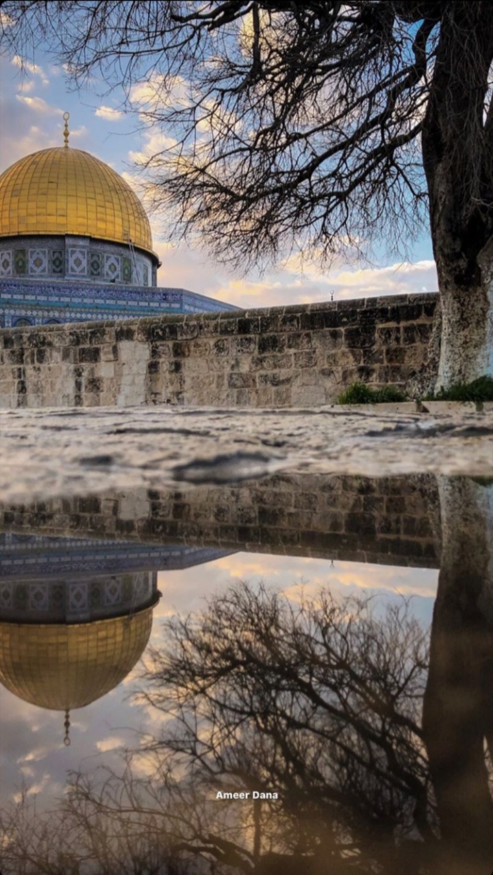 ���� ���� ������ �� ���� ������