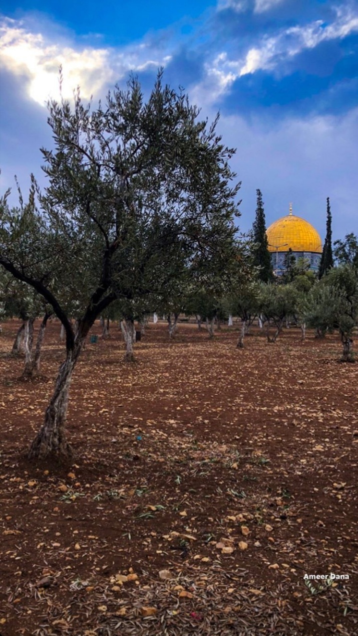 ���� ���� ������ �� ���� ������