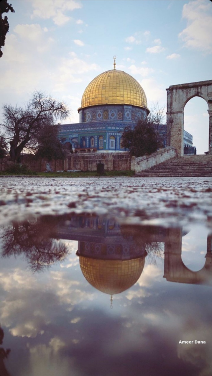 ���� ���� ������ �� ���� ������