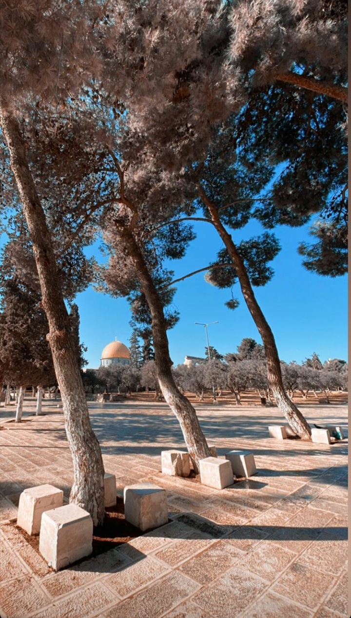 ���� ���� ������ �� ���� ������