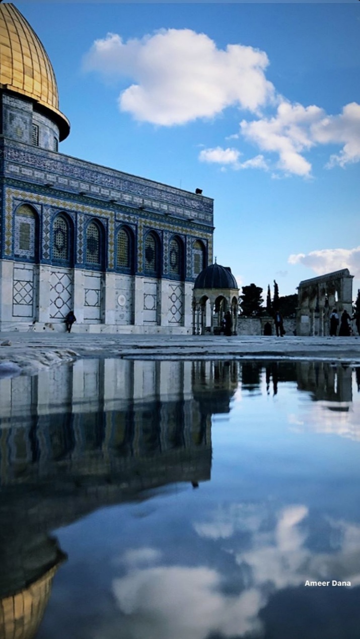 ���� ���� ������ �� ���� ������