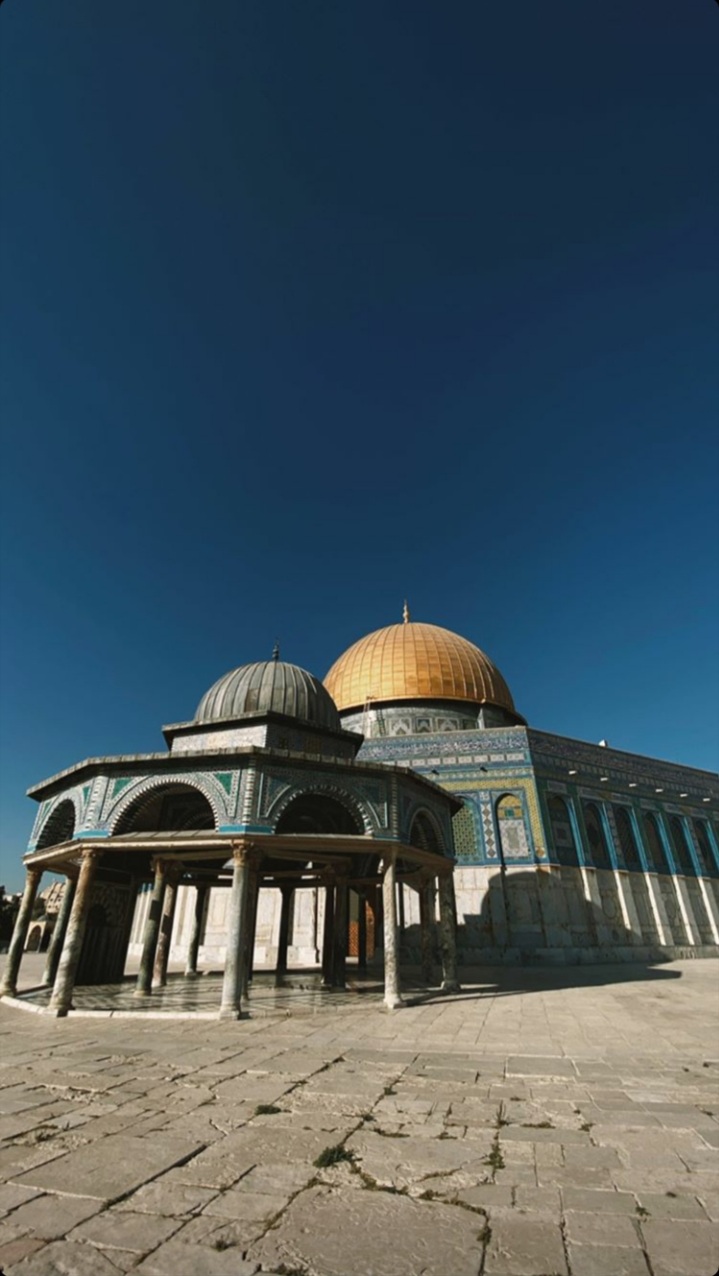 ���� ���� ������ �� ���� ������