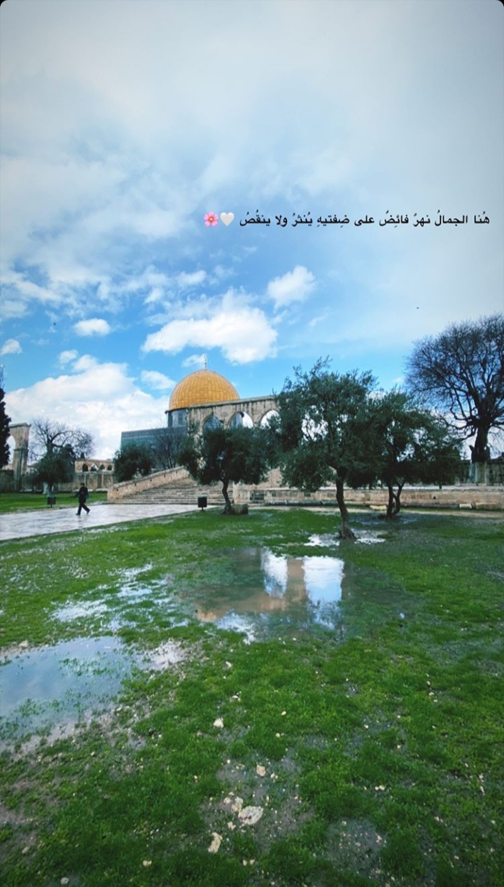 ���� ���� ������ �� ���� ������