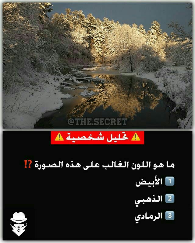 ���� ���� ������ �� ���� ������