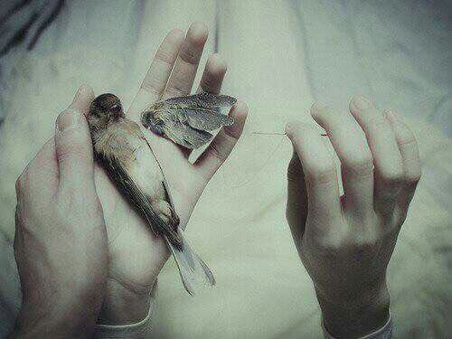 ���� ���� ������ �� ���� ������