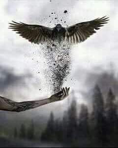 ���� ���� ������ �� ���� ������