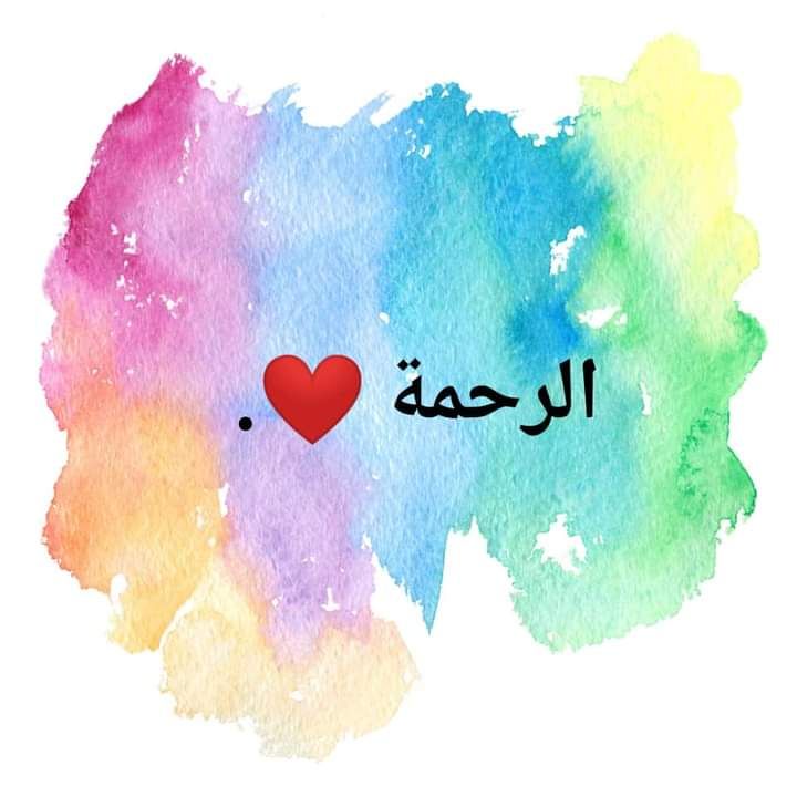 ���� ���� ������ �� ���� ������