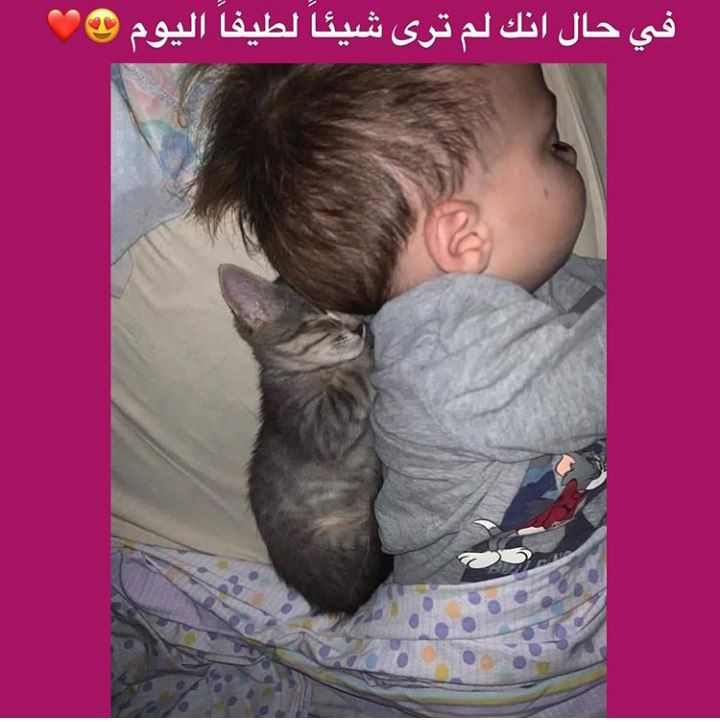 ���� ���� ������ �� ���� ������