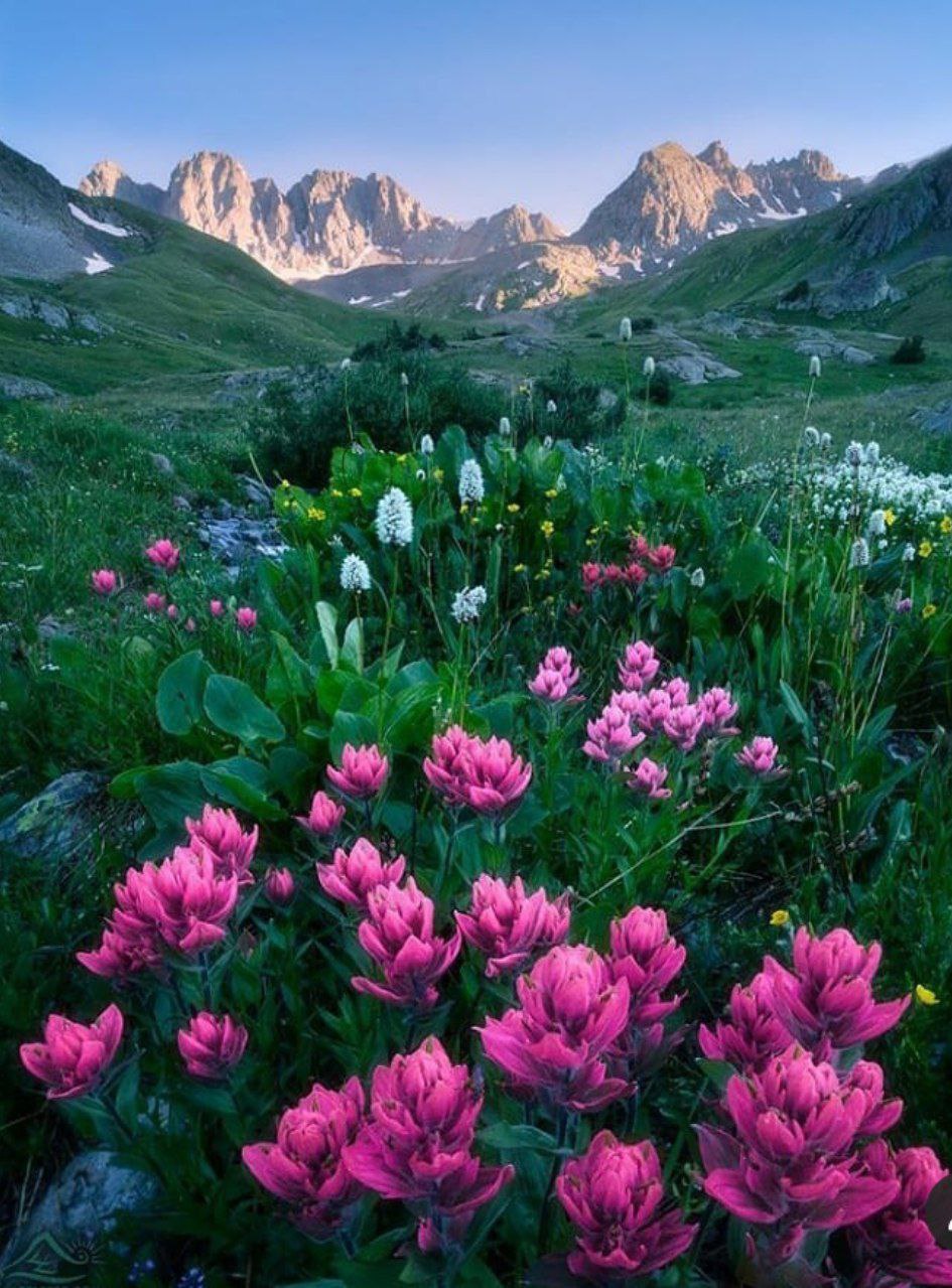 ���� ���� ������ �� ���� ������