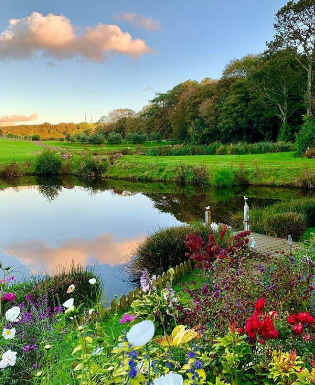 ���� ���� ������ �� ���� ������