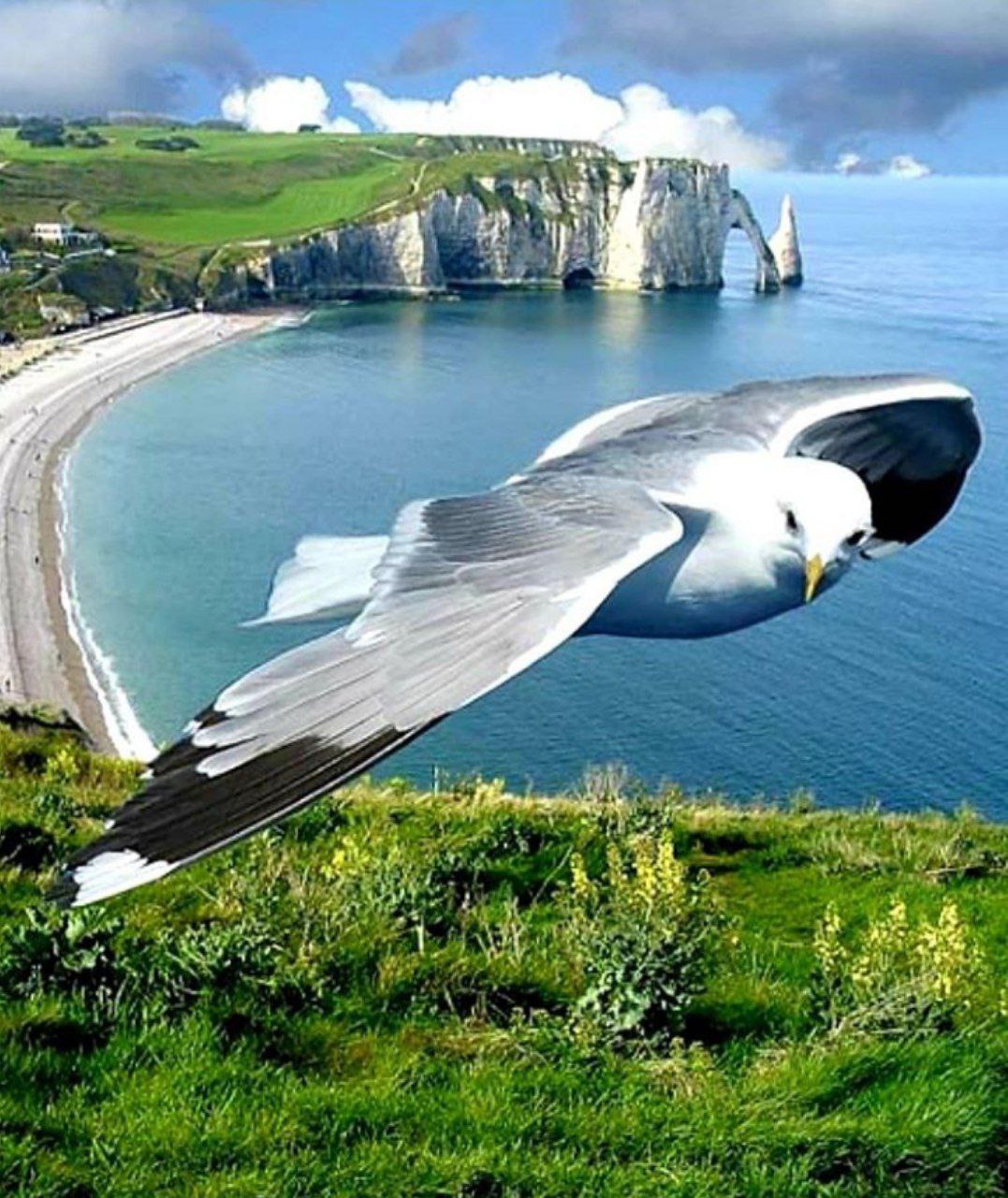 ���� ���� ������ �� ���� ������