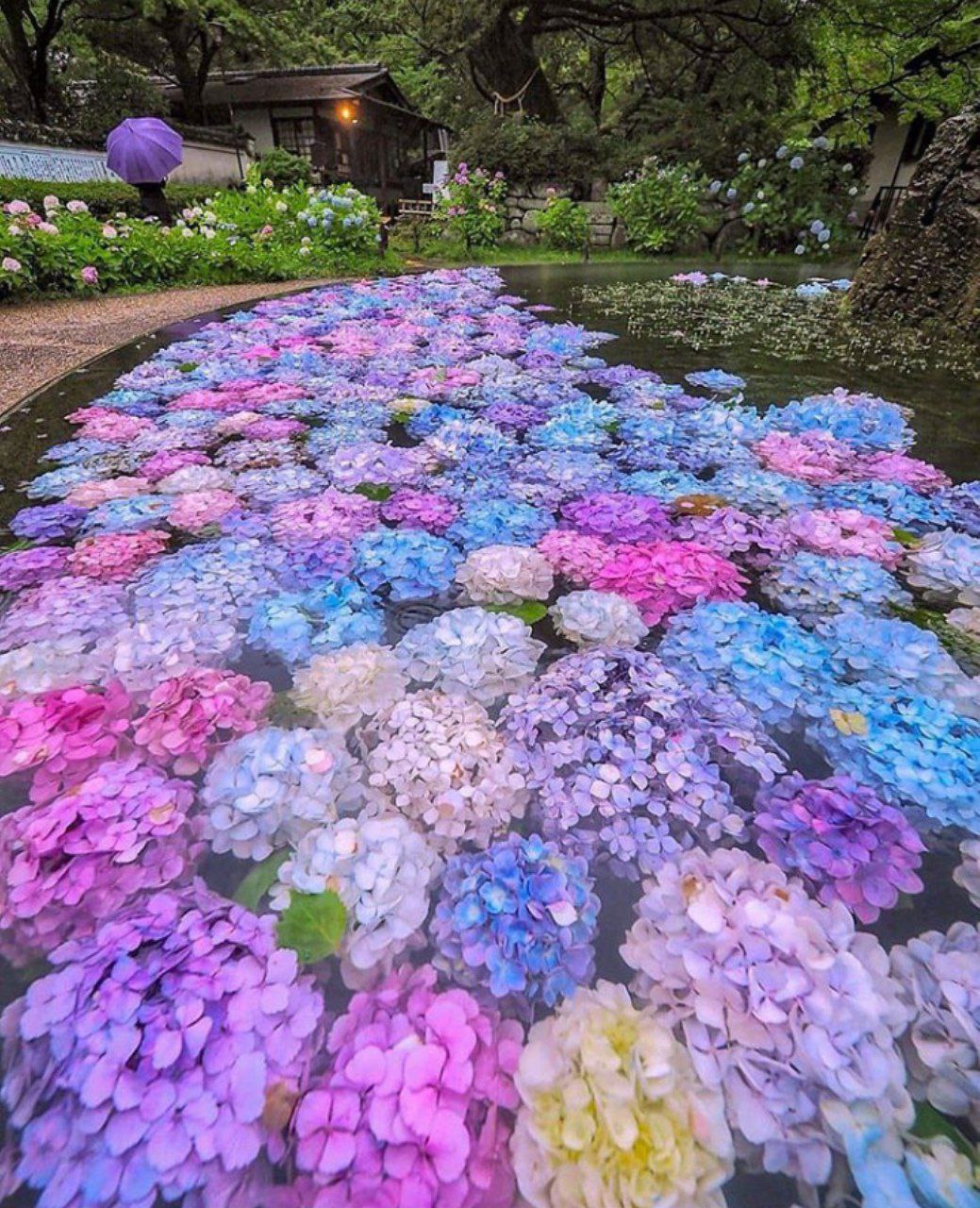 ���� ���� ������ �� ���� ������