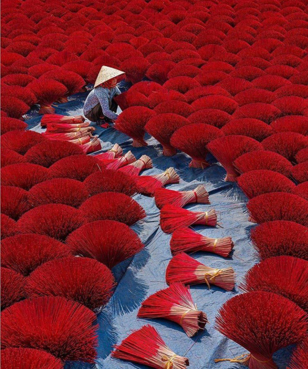 ���� ���� ������ �� ���� ������