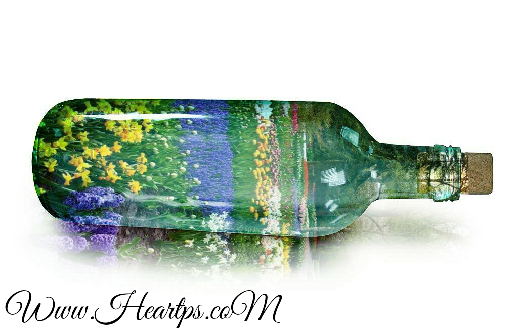 ���� ���� ������ �� ���� ������