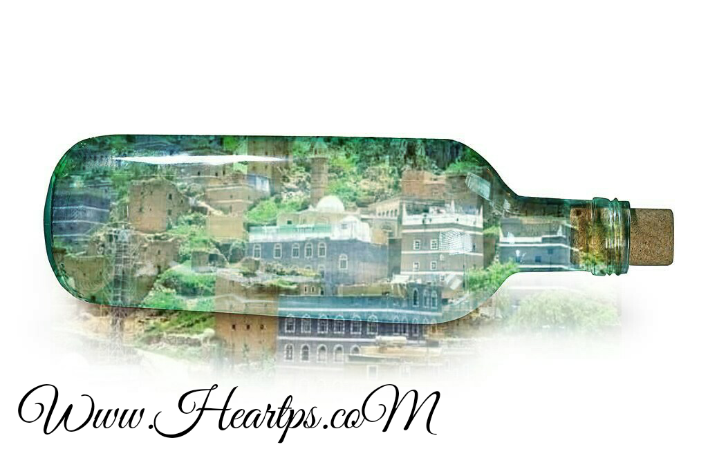 ���� ���� ������ �� ���� ������