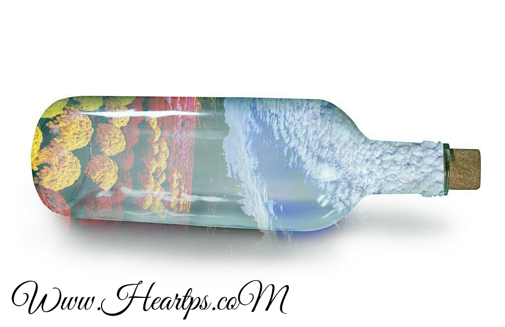 ���� ���� ������ �� ���� ������