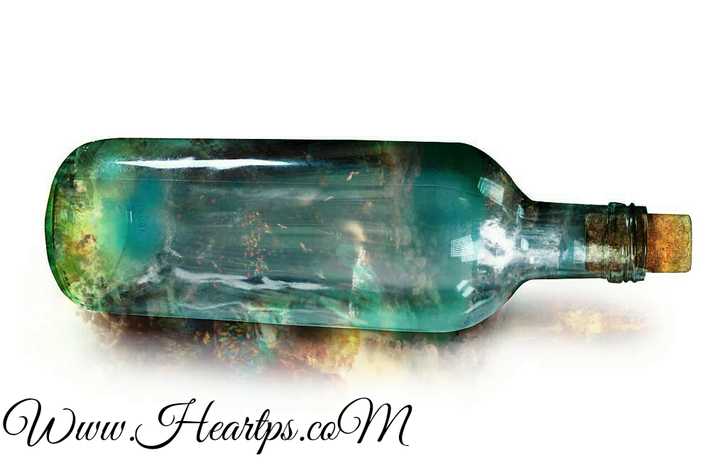 ���� ���� ������ �� ���� ������