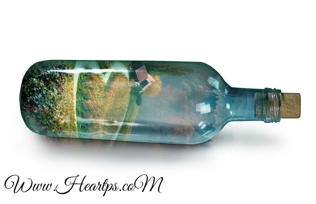 ���� ���� ������ �� ���� ������