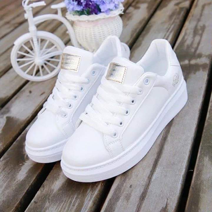 ���� ���� ������ �� ���� ������