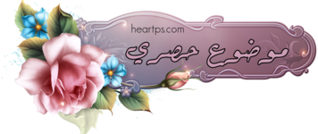 ���� ���� ������ �� ���� ������