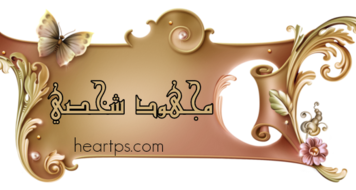 ���� ���� ������ �� ���� ������