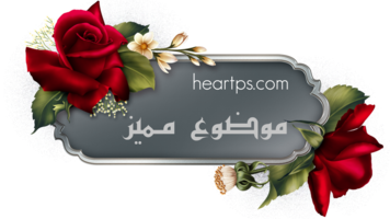 ���� ���� ������ �� ���� ������