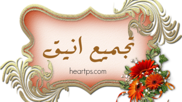 ���� ���� ������ �� ���� ������