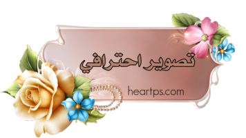 ���� ���� ������ �� ���� ������