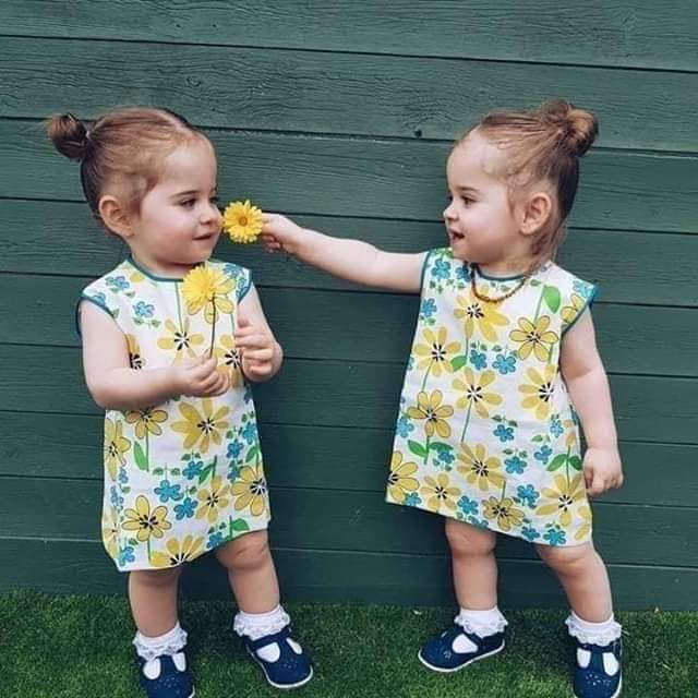 ���� ���� ������ �� ���� ������