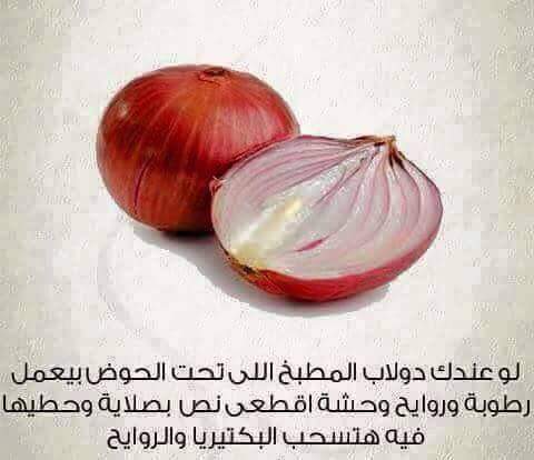 ���� ���� ������ �� ���� ������