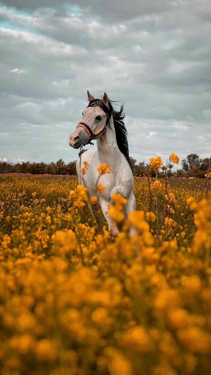 ���� ���� ������ �� ���� ������