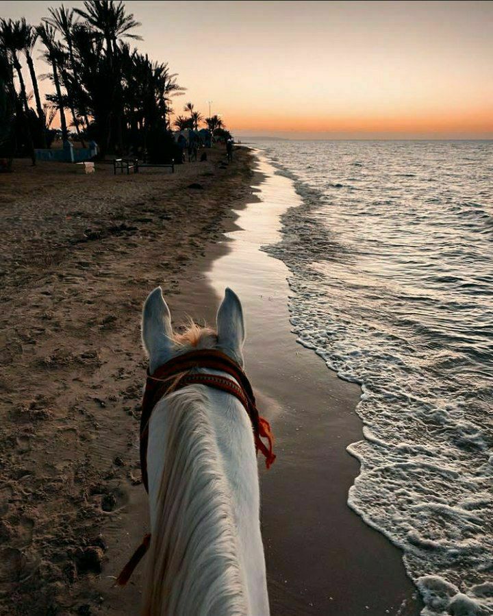 ���� ���� ������ �� ���� ������