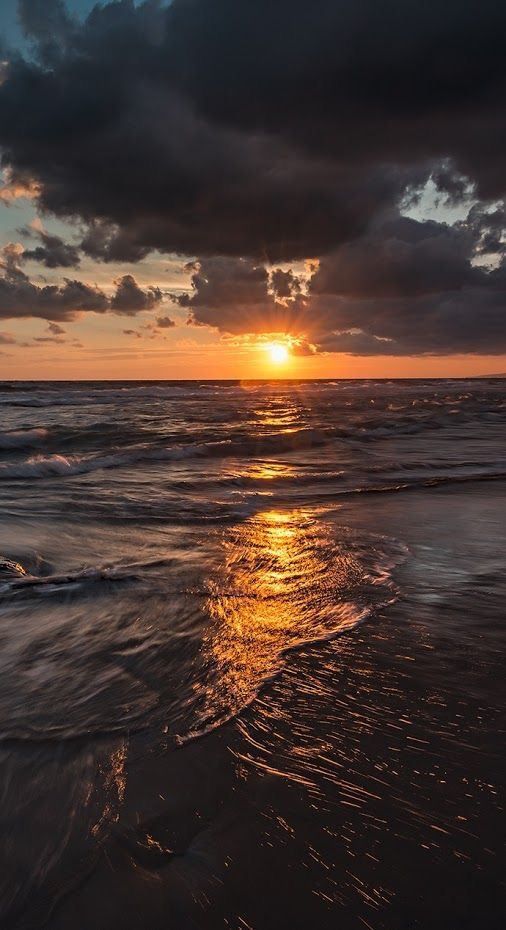 ���� ���� ������ �� ���� ������