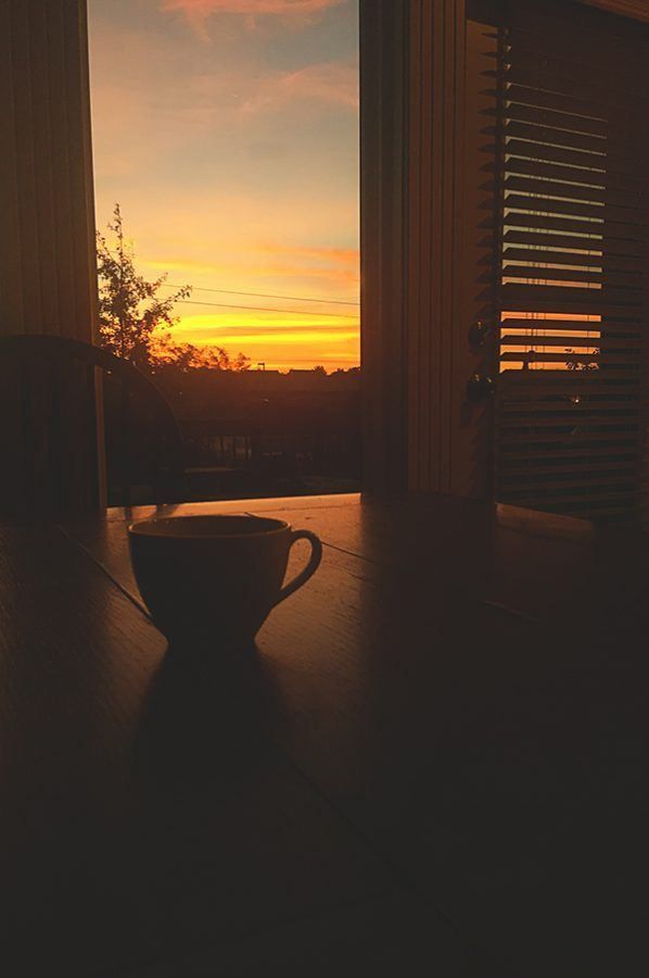 ���� ���� ������ �� ���� ������