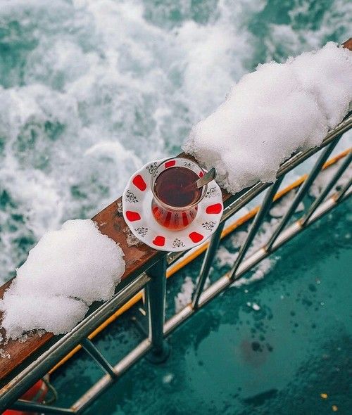 ���� ���� ������ �� ���� ������