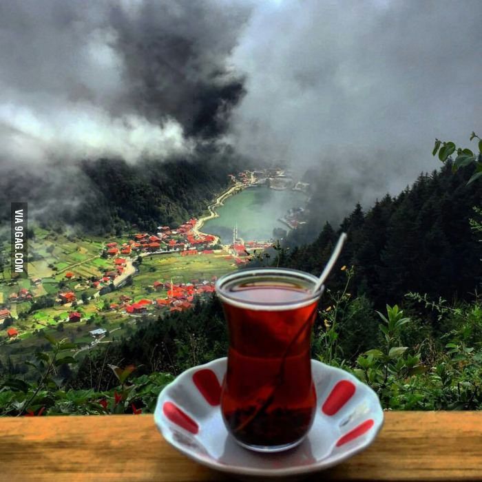 ���� ���� ������ �� ���� ������