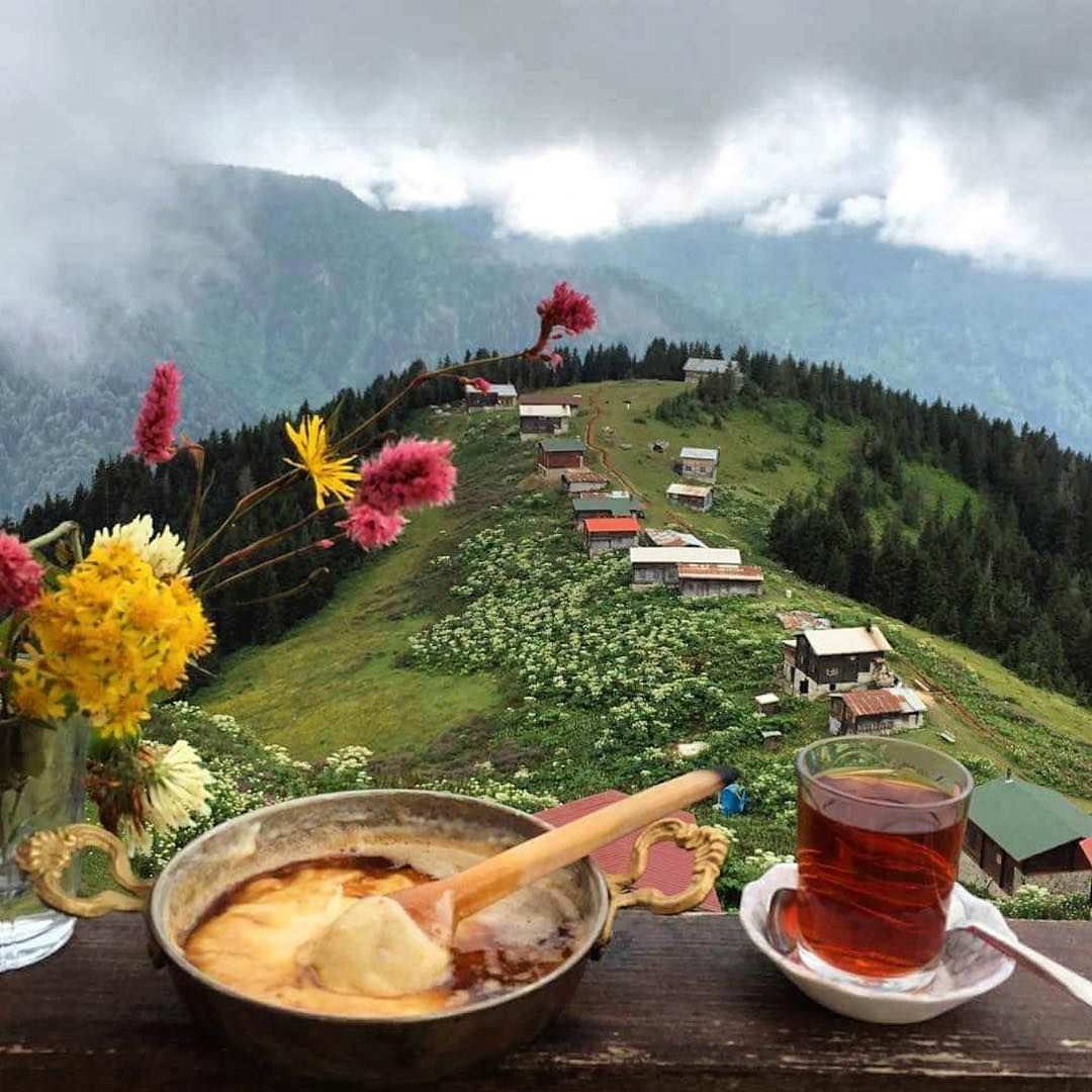 ���� ���� ������ �� ���� ������