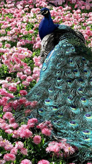 ���� ���� ������ �� ���� ������