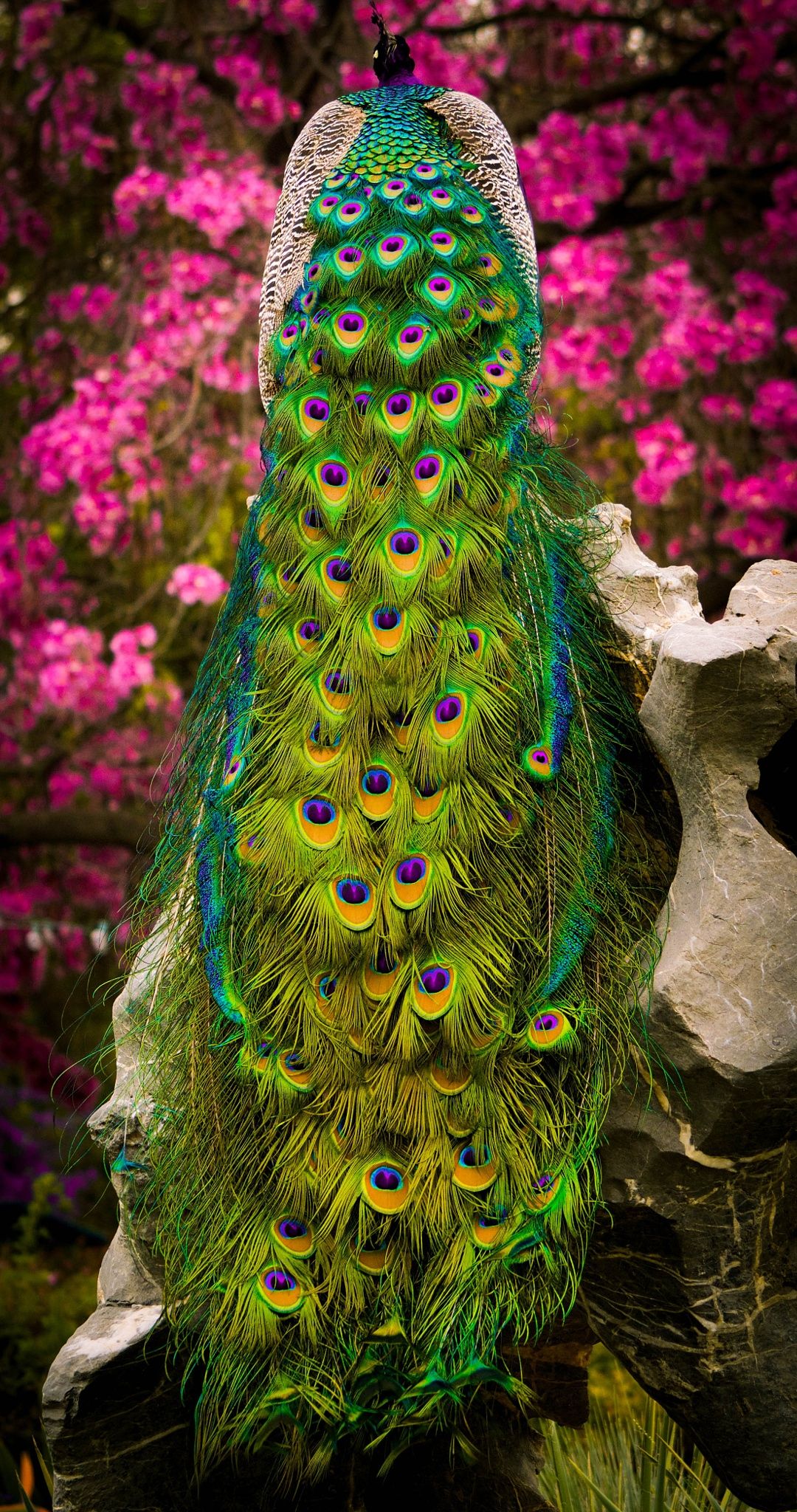 ���� ���� ������ �� ���� ������