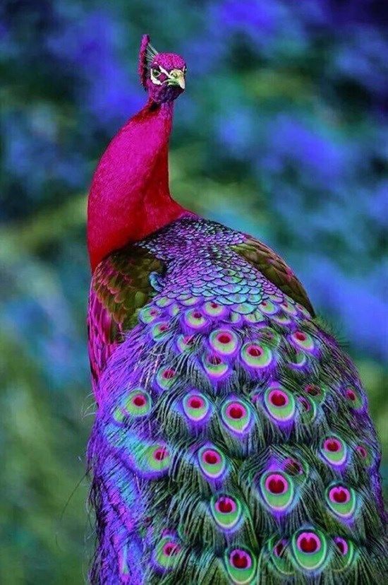 ���� ���� ������ �� ���� ������