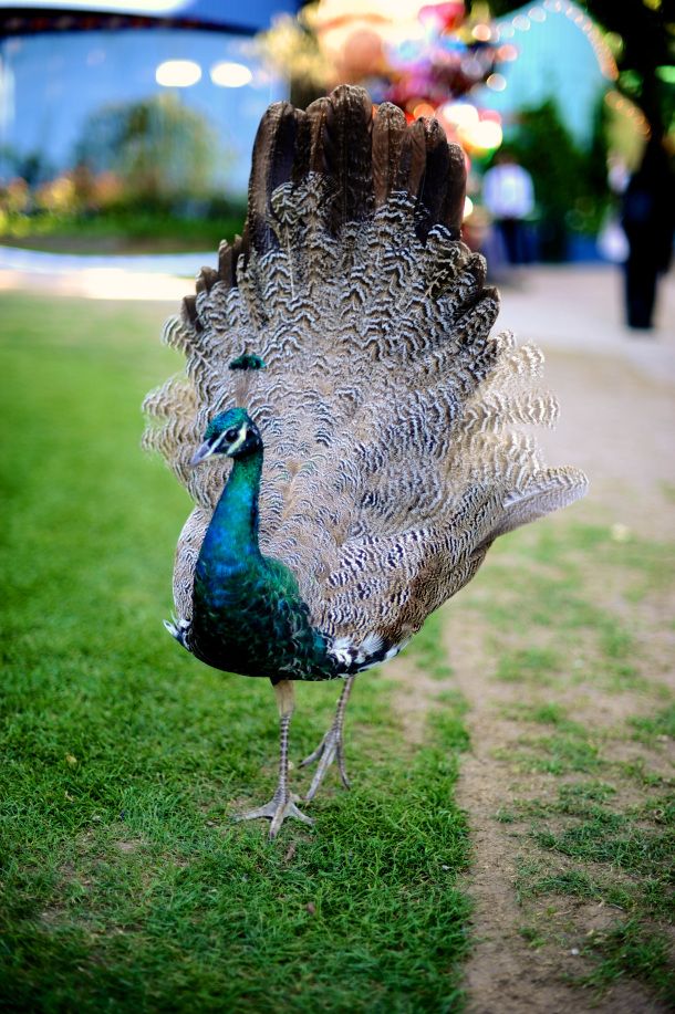 ���� ���� ������ �� ���� ������