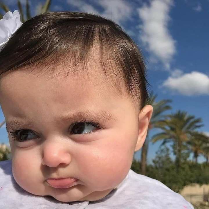 ���� ���� ������ �� ���� ������