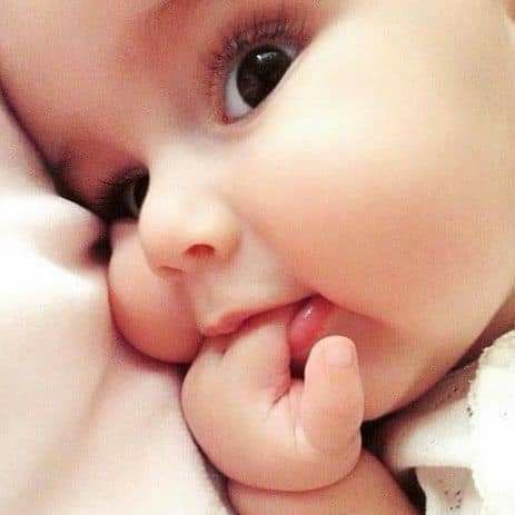 ���� ���� ������ �� ���� ������