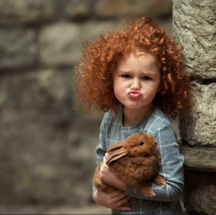 ���� ���� ������ �� ���� ������