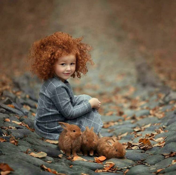 ���� ���� ������ �� ���� ������