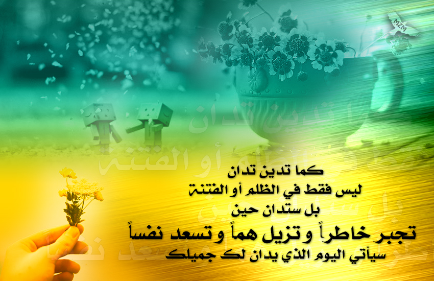 bntpal.com_161277934