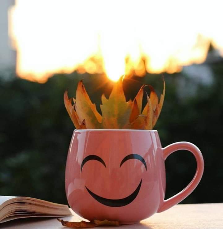 ���� ���� ������ �� ���� ������