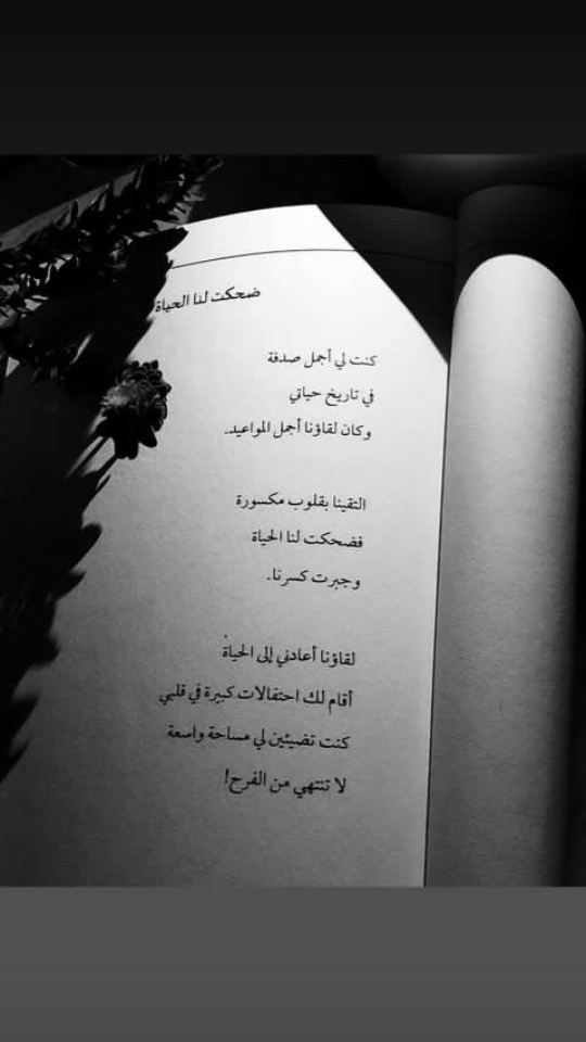 ���� ���� ������ �� ���� ������