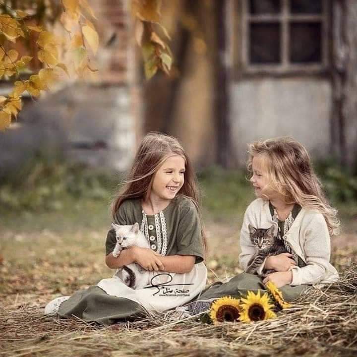 ���� ���� ������ �� ���� ������