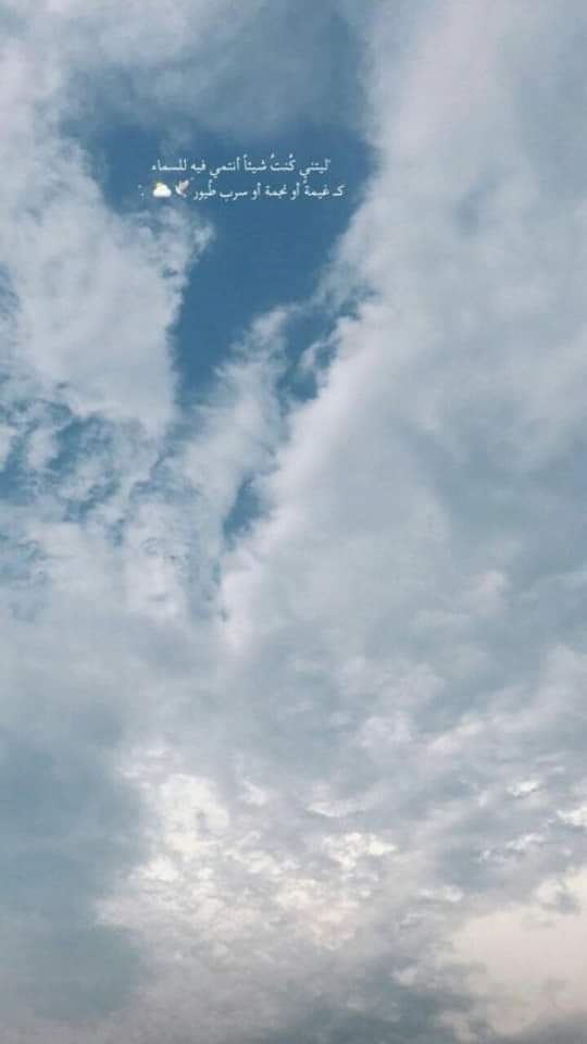 ���� ���� ������ �� ���� ������